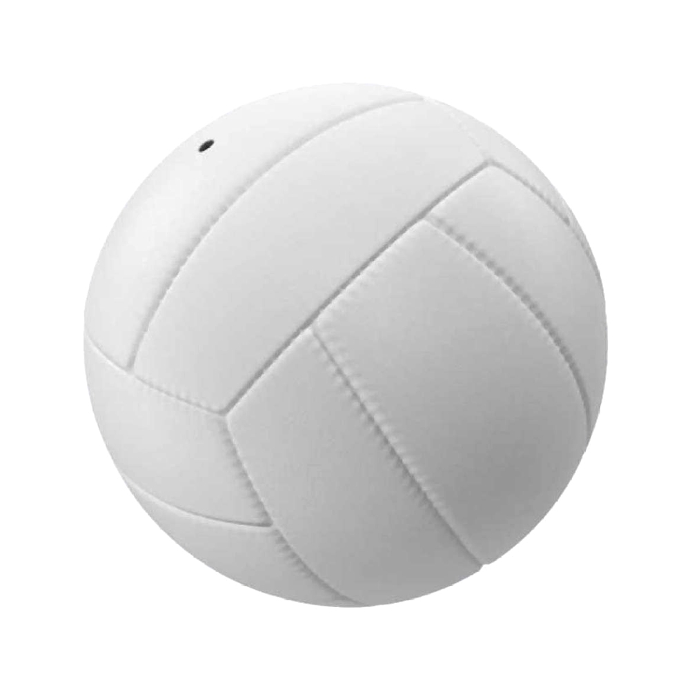 Volley Ball